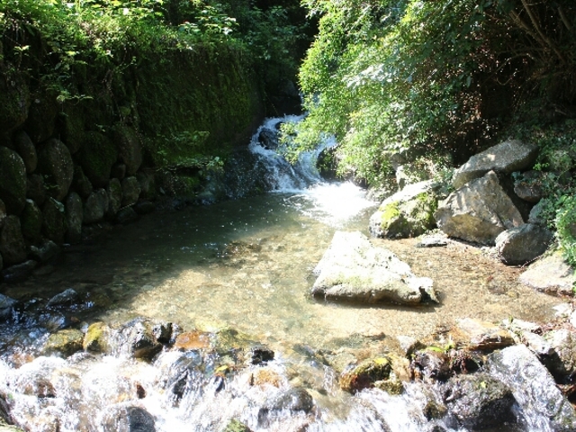 JOEさんの清水川の投稿写真1
