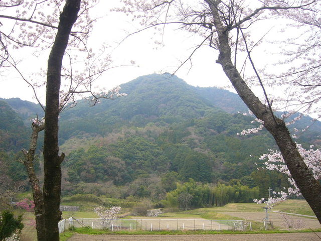 JOEさんの白坂公園の投稿写真1