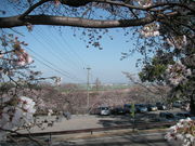JOEさんの陽だまりの丘公園の投稿写真1