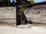 JOEさんのノコギリ型家並の投稿写真1