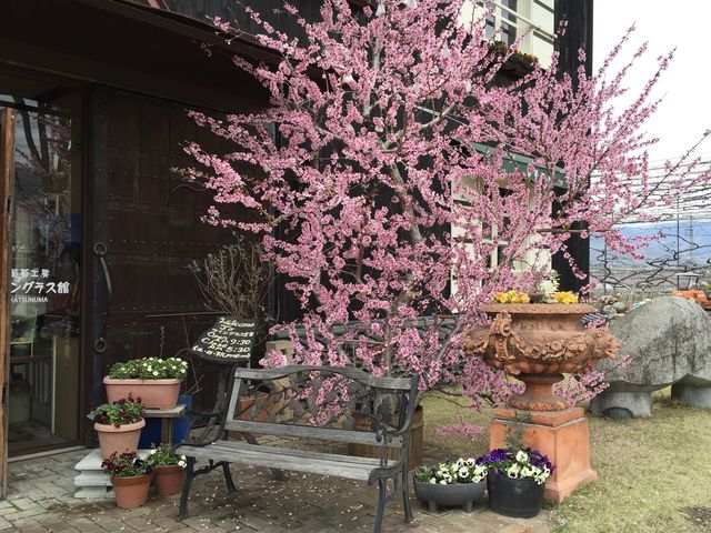 【葡萄工房 ワイングラス館】_葡萄工房 ワイングラス館