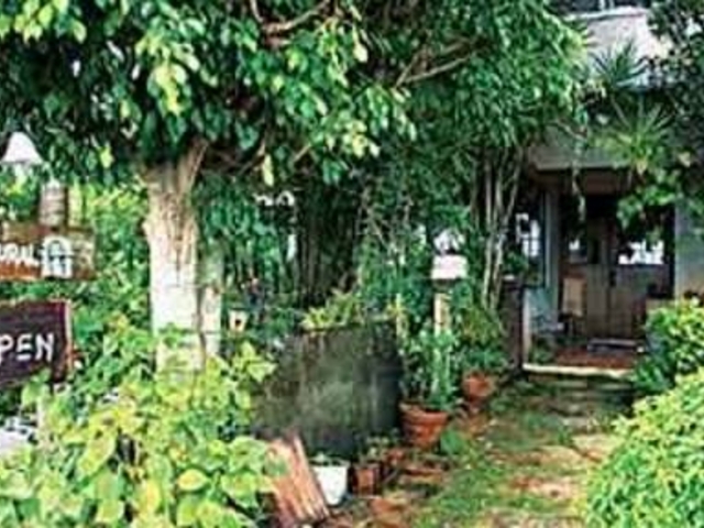 オシャレです_茶屋 Be Natural