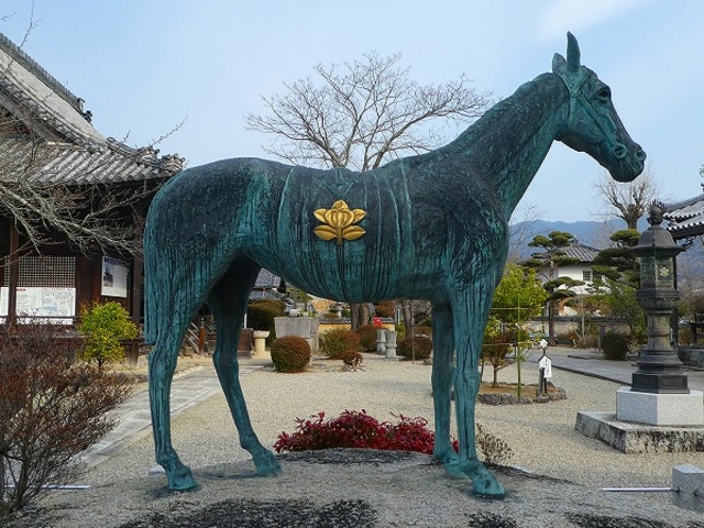 奈良県・明日香村・橘寺・聖徳太子の愛馬・黒駒像 _橘寺