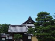たぴおかさんの崇福寺の投稿写真1