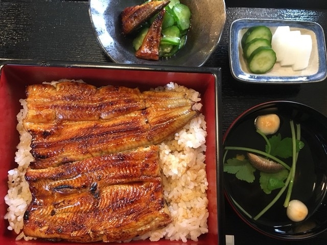 美味!_うなぎのいっせい