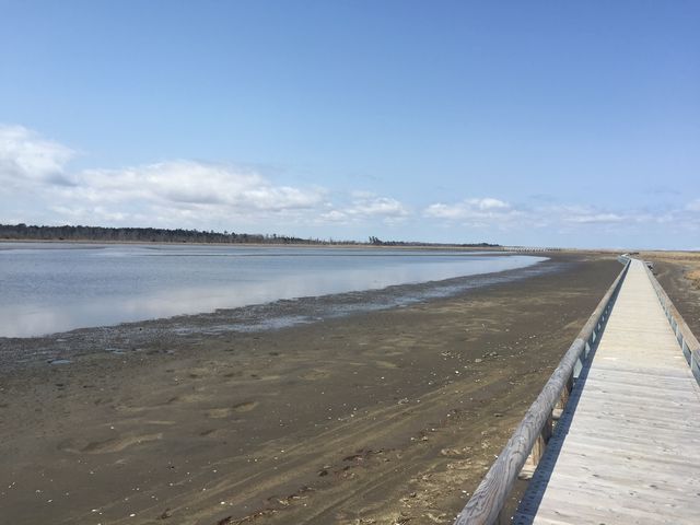 しばらく歩きます_春国岱