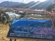 とんすけっちさんの涅槃堂の投稿写真2