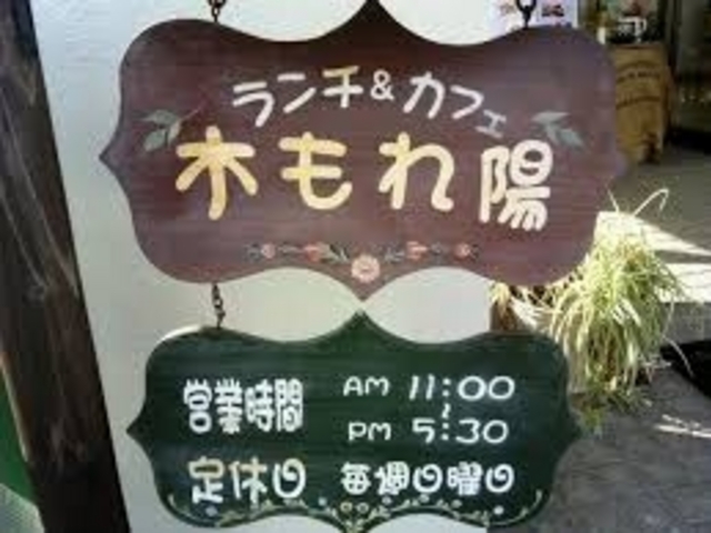 木もれ陽_木もれ陽