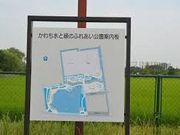 世田谷区等々力の住人さんのかわち水と緑のふれあい公園の投稿写真1
