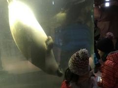旭山動物園の写真1