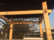 Kuda12さんの松浦の鐘の投稿写真1