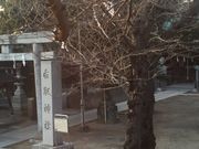 Kuda12さんの香取神社(東水元)の投稿写真1
