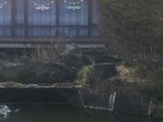 Kuda12さんの水元かわせみの里(水質浄化センター)の投稿写真1