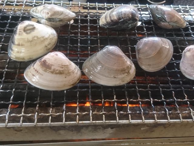 蛤の網焼き_浜茶屋 向島