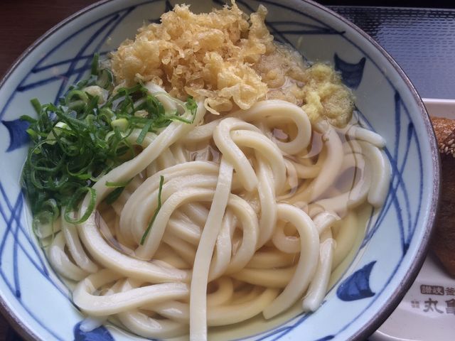 丸亀製麺かけうどん_丸亀製麺阿南