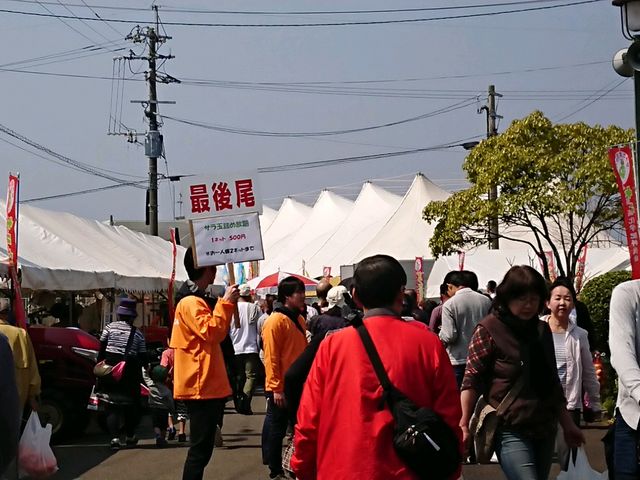 サラ玉ちゃん祭り_サラダたまねぎ