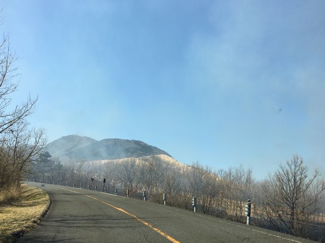 写真B_飯田高原の野焼き
