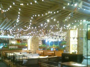 usaさんのバルバラマーケットプレイス イタリアン食堂 豊洲の投稿写真1