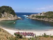 とんすけっちさんの泊海水浴場の投稿写真1