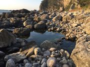 とんすけっちさんの足付温泉の投稿写真1