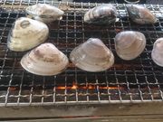 sunakumaさんの浜茶屋 向島の投稿写真1