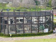 マックさんの大浜公園の投稿写真6