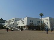 マックさんの大浜公園の投稿写真9