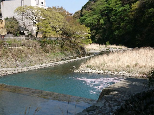 お店から見えた風景。_はつ花そば 新館