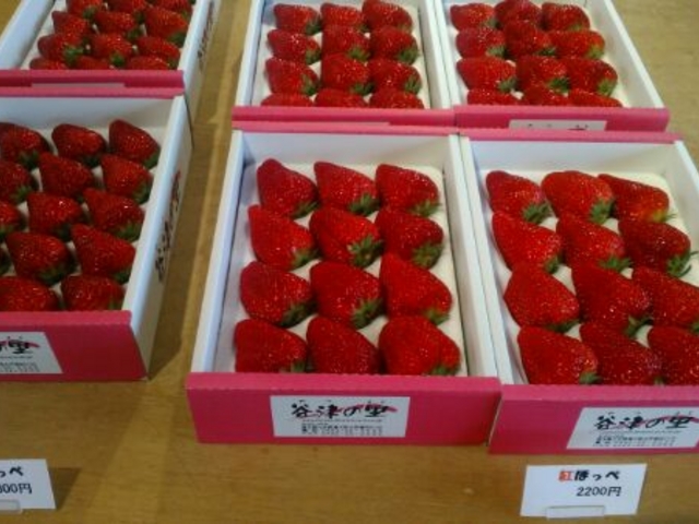 箱入れはちょっとお値段がいいです_イチゴ園谷津の里