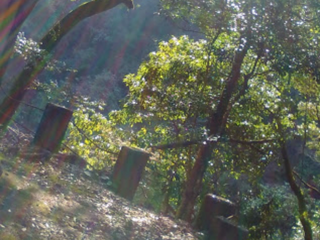 窓からの風景_湧き水カフェ 風水庵