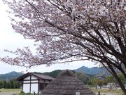 こぼらさんの阿騎野・人麻呂公園の投稿写真1