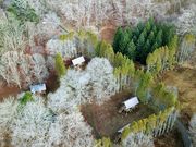 kool6636さんのふるさと2000年の森 ポロトの森キャンプ場 の投稿写真1