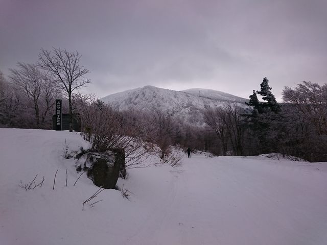 樹氷はまだまだでした_山形蔵王温泉スキー場