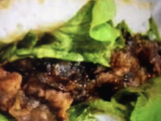 モスライスバーガー_モスバーガーJR野田店