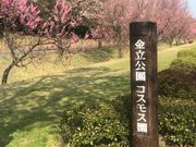 saly02さんの金立山いこいの広場の投稿写真1