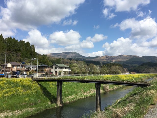菜の花が綺麗です。_大分川の眺め