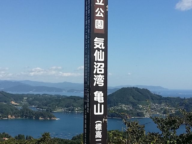 鳴り木さんの亀山の桜の投稿写真1
