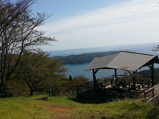 鳴り木さんの亀山遊歩道の投稿写真1