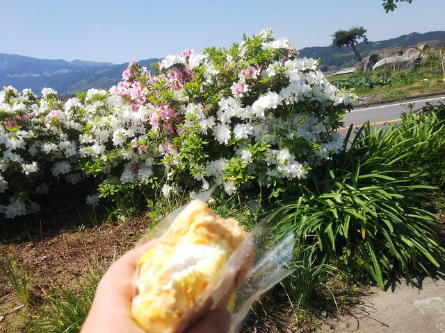 クリームたっぷり(^^)_小次郎の里