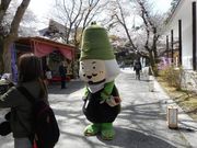 みどりさんの三井寺(園城寺)の投稿写真1