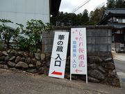 w-masaさんの興行寺 真宗未来館MUSEUM 華の蔵の投稿写真1