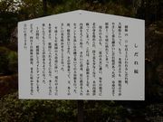 w-masaさんの興行寺 真宗未来館MUSEUM 華の蔵の投稿写真2