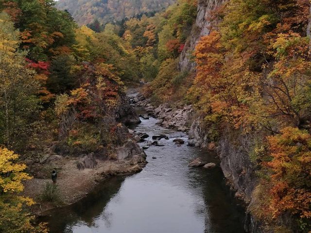紅葉が始まっていました_定山渓