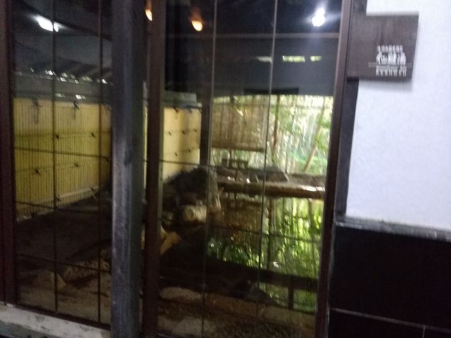 半露天風呂_旅館 わかば