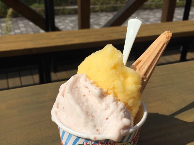みかんのソルベといちじくです。_ドルチェ・本店
