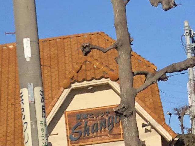 シャンゴ_シャンゴ 問屋町本店