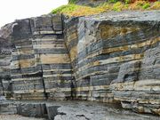 マックさんの須佐ホルンフェルスの投稿写真8