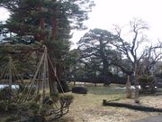 okeiさんの白露庭の投稿写真2