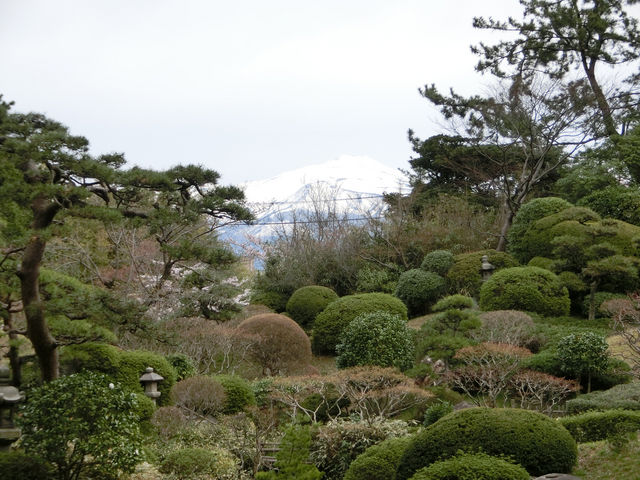 庭園から鳥海山が遠望出来る_本間美術館