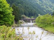 こぼらさんの和良川の投稿写真1